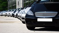 Asesor�a en Seguros de Autos